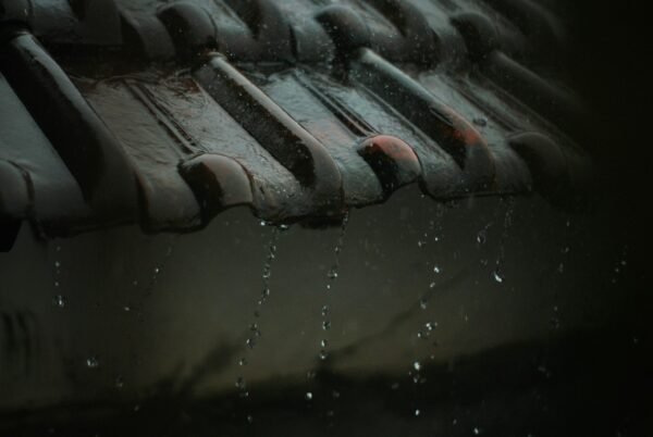 water droplets on roof during daytime
